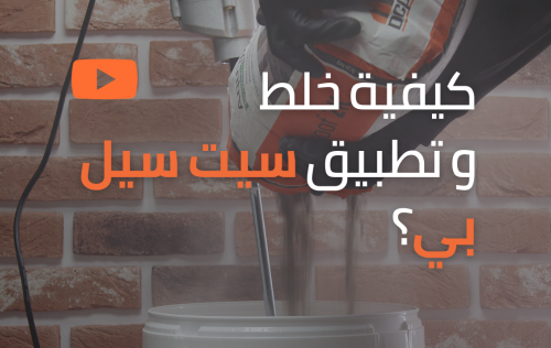 سيت سيل بي