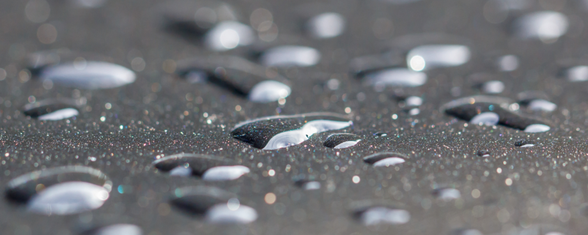 Water Repellent Coatings
